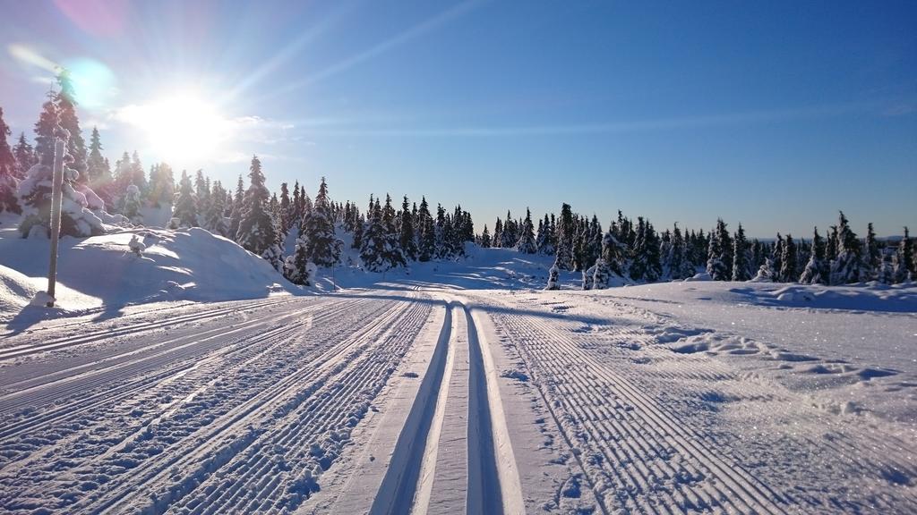 Lillehammer Fjellstue Og Hytteutleie Nordseter Εξωτερικό φωτογραφία